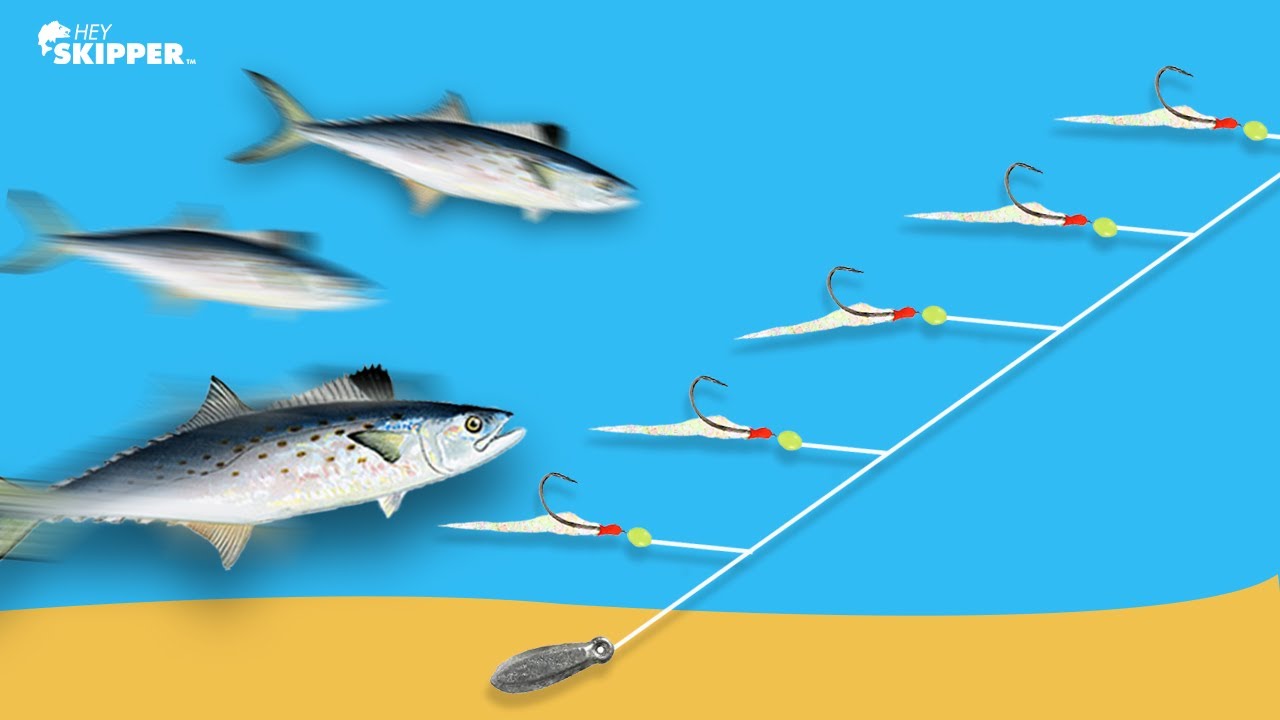 Catching Fish w/ NO BAIT!? (5 Hook Fishing Rig)