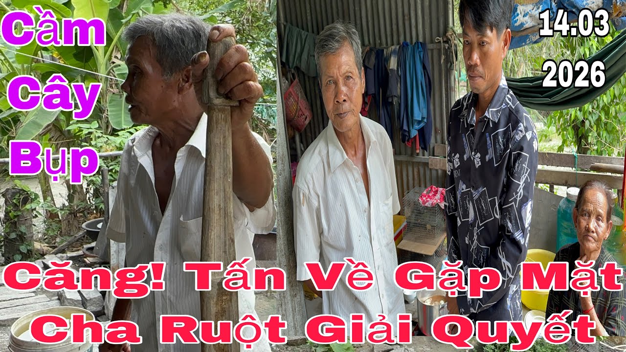 Căng! Anh Tấn Về Gặp Mặt Cha Ruột Làm Chuyện Này #thinhhanh #yeucuocsong #giadinh #mientay 