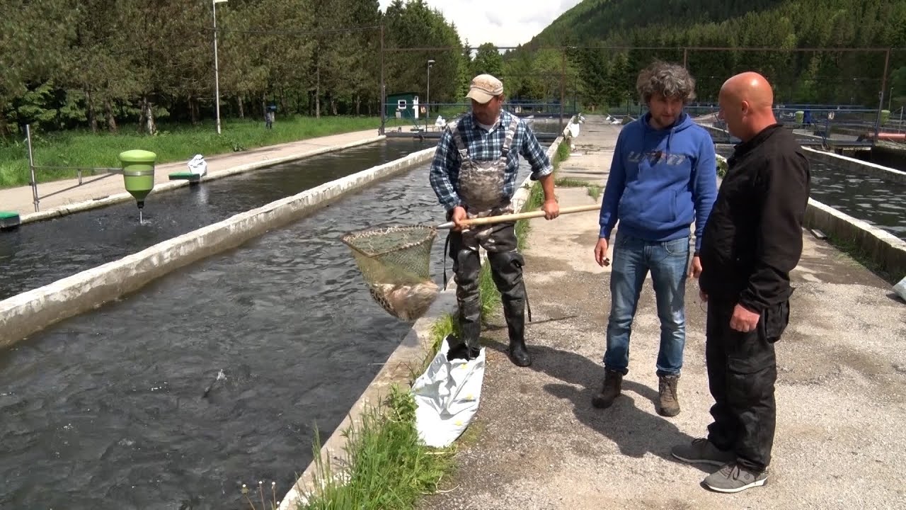 Na rybách - Petrov zdar! - 09/2018