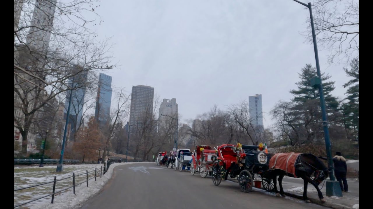 Tuesday, January 6th 2026 midtown, Central Park, upper east side