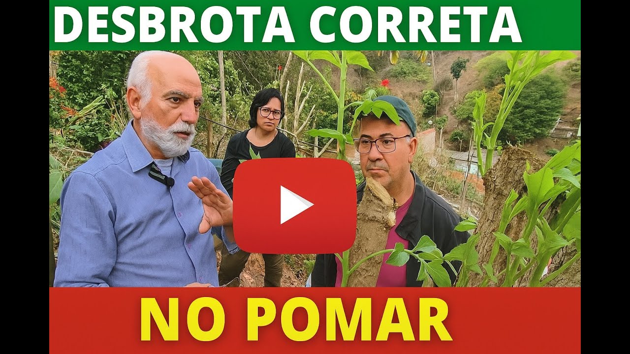 DESBROTA CORRETA NO POMAR COM SERGIO SEMERJDIAN NO PLANTAR EM CASA