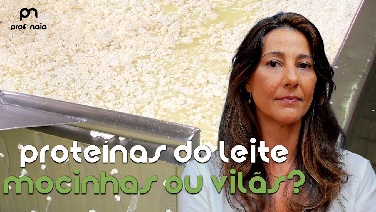 Proteínas do leite: mocinhas ou vilãs?