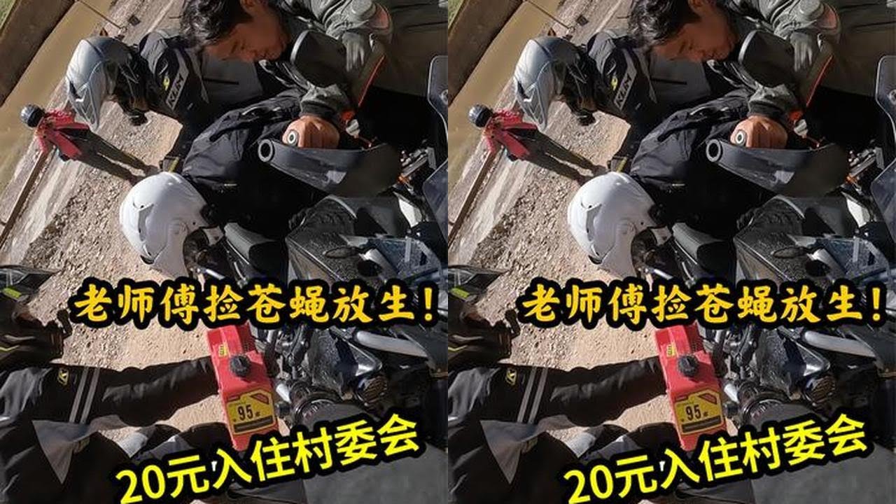 20元入住村委会 游孜珠寺 老师傅捡苍蝇放生 #摩旅西藏之行 #骑行vlog #旅行推荐官 #孜珠寺天空之城