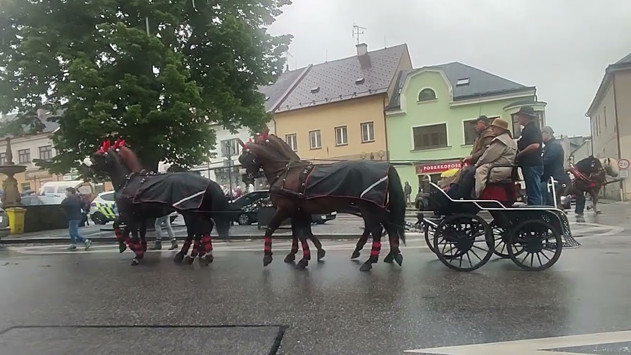 1června 2024 den koně lomnice nad popelkou
