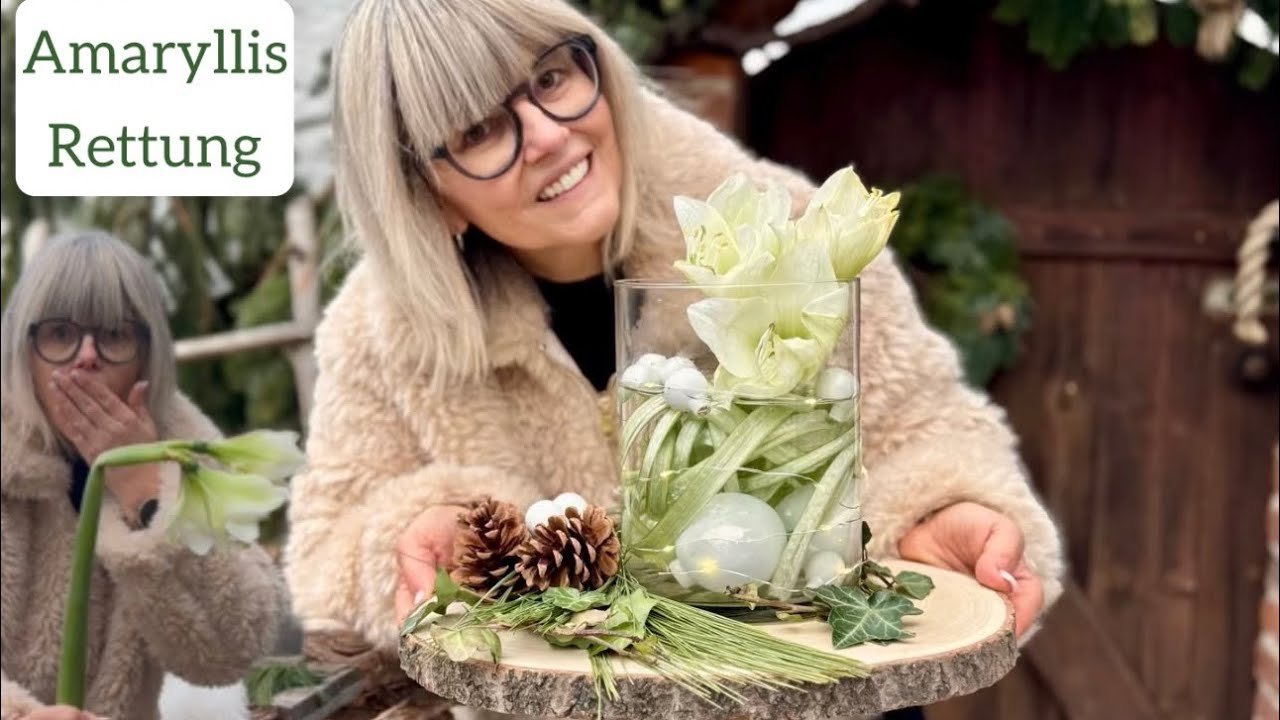 Abknickende Amaryllis? So wird sie noch ein Hingucker