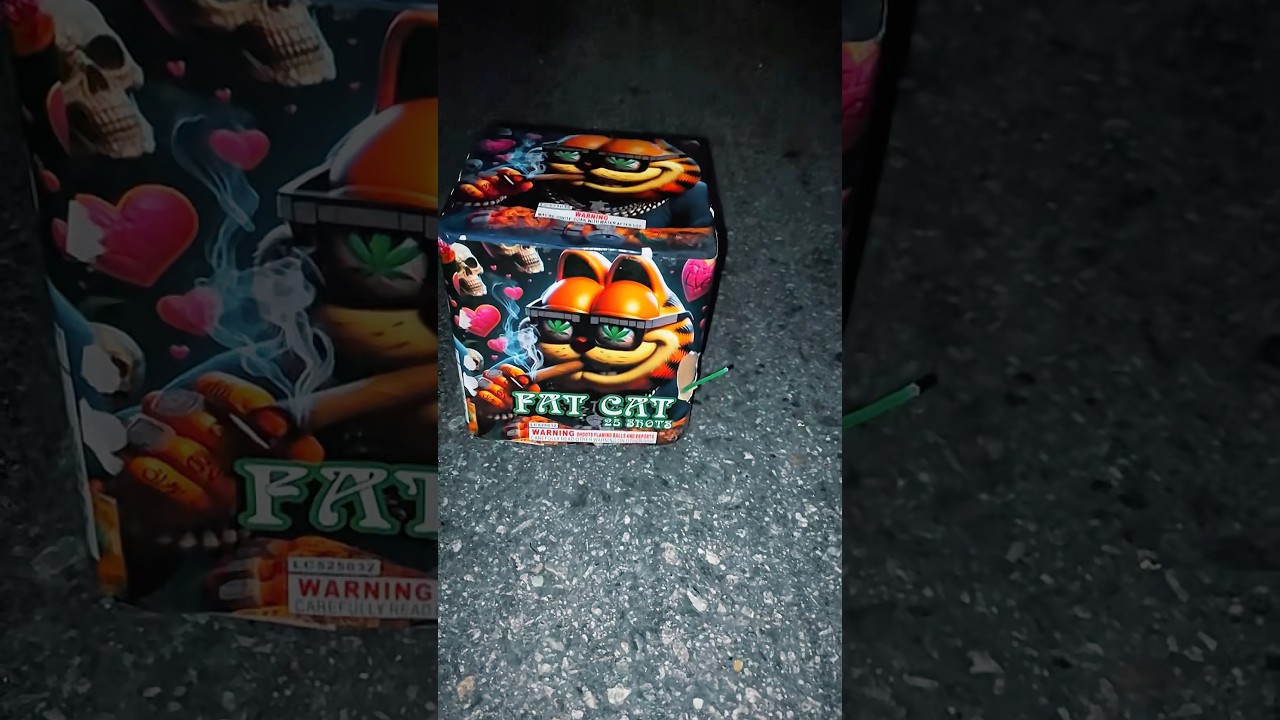 FAT CAT 25s [NEW DEMO] 🚬😼 #fireworks #demo #cat #garfield #july #pyro