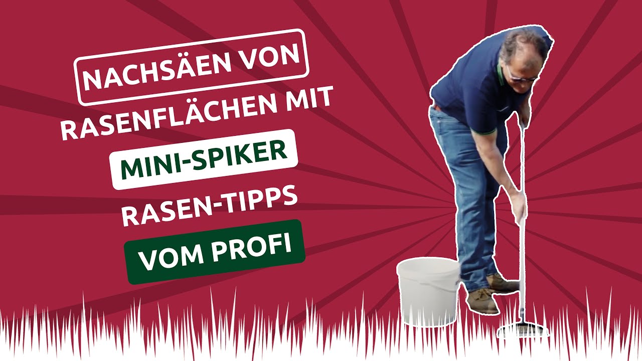 👉Nachs&auml;en von Rasenfl&auml;chen mit Mini-Spiker 🌱 Rasen-Tipps vom Profi 💚