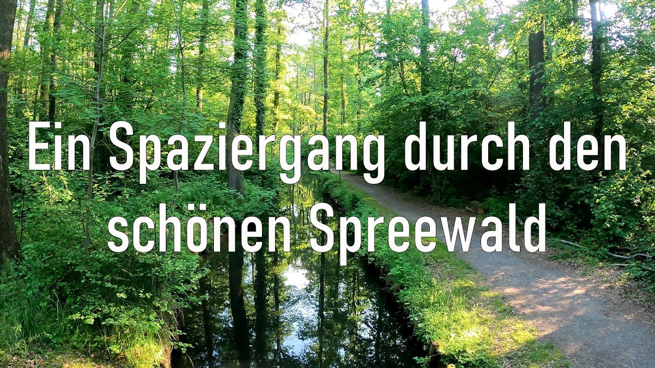 Waldspaziergang - Ein Sommerabend im Spreewald - vom Gasthof Wotschofska zum kleinen Hafen L&uuml;bbenau
