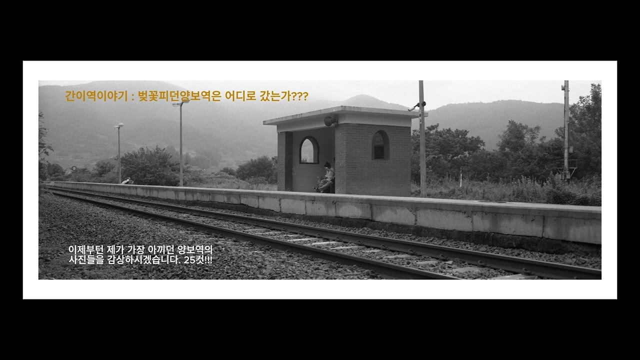 간이역이야기 : NO 206, 벚꽃피는 양보역은 어디갔는가??? #경전선#양보역#하동#폐역#간이역#흑백아나로그#AnotherPhoto