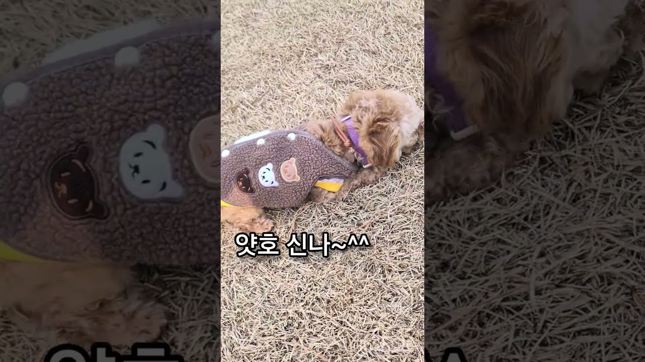 땅콩이 세상