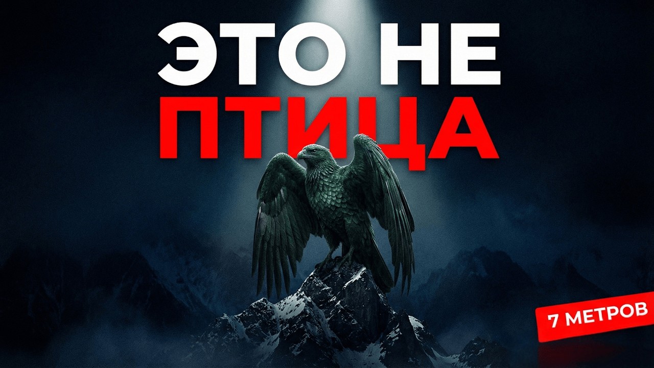 Птица С Крыльями Семь Метров — Гигант, Который Правил Небом