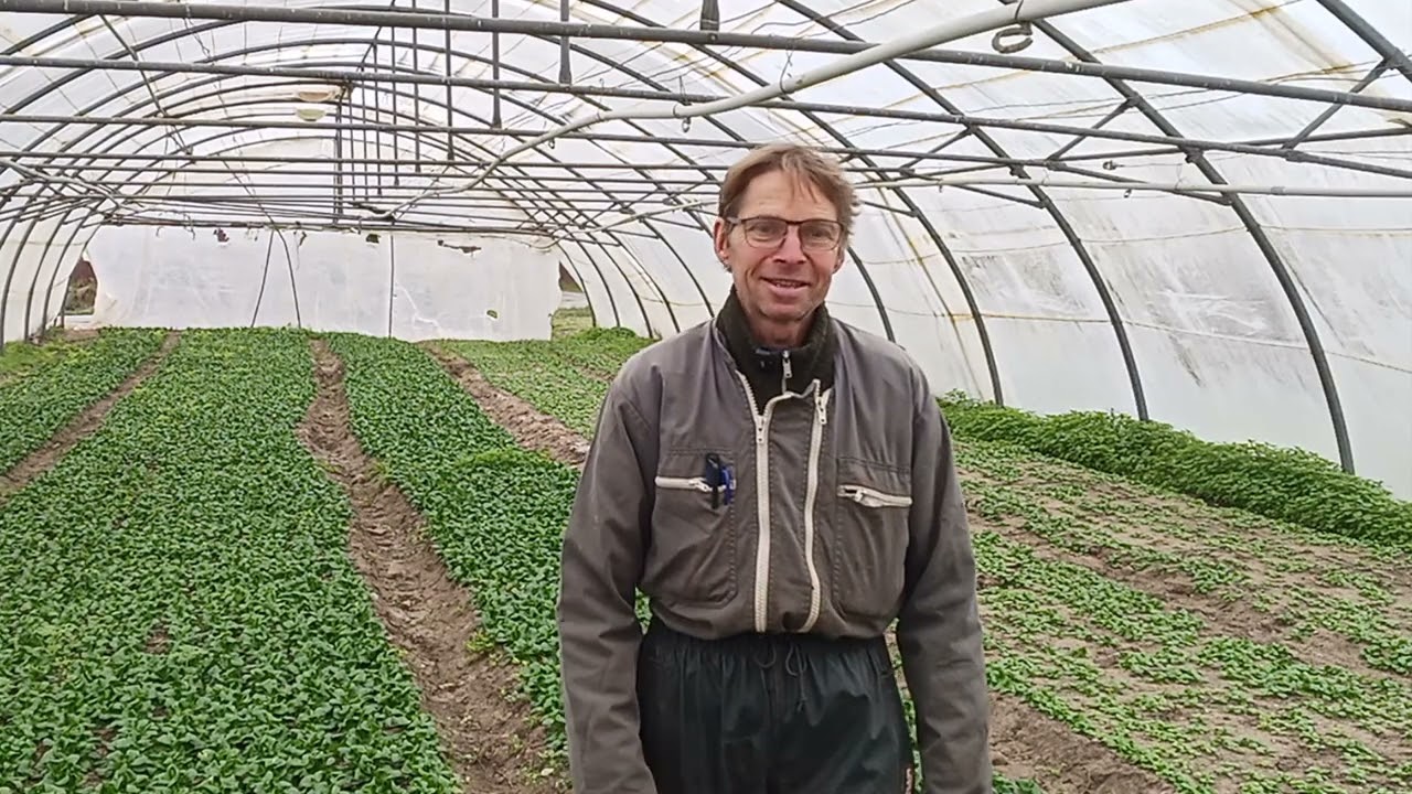 🥬 Découverte du métier de Maraîcher 🥬