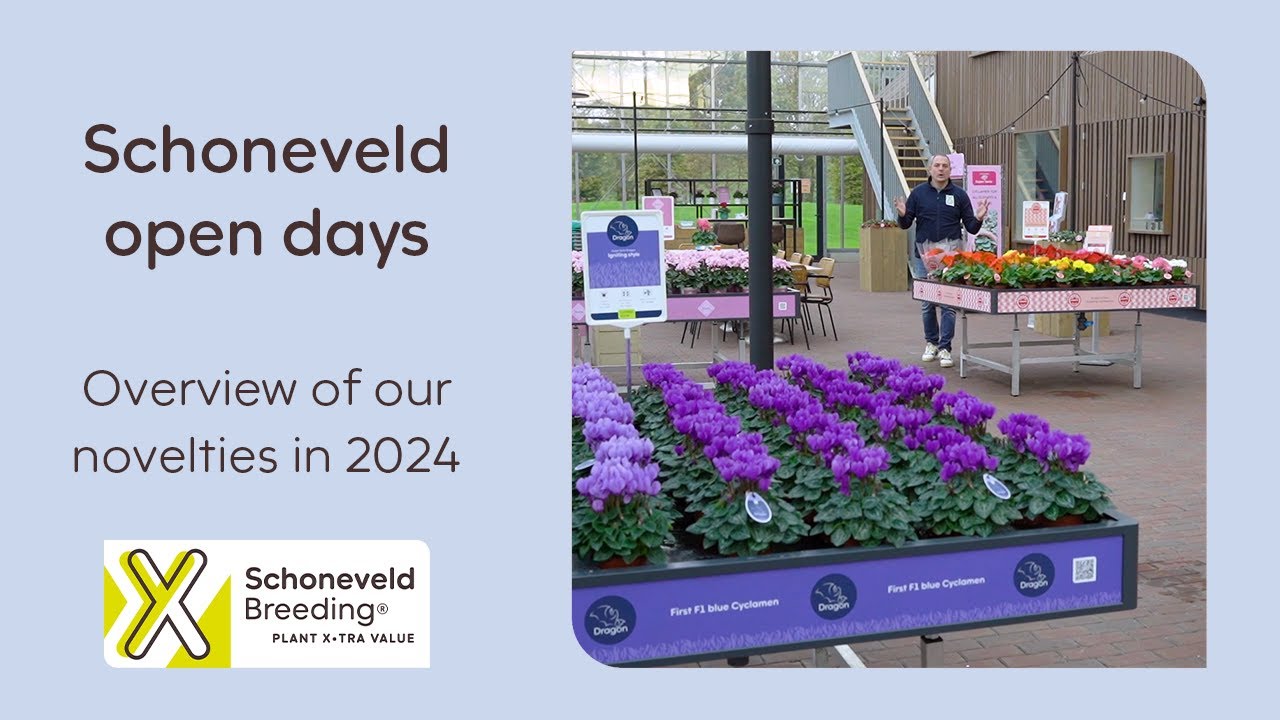 Our novelties of the Schoneveld open days 2024