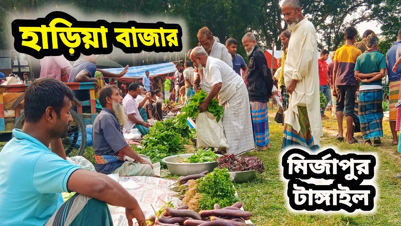 অসম্ভব সুন্দর একটি গ্রামীণ বাজার। হাড়িয়া বাজার মির্জাপুর টাঙ্গাইল। village market mirzapur tangail