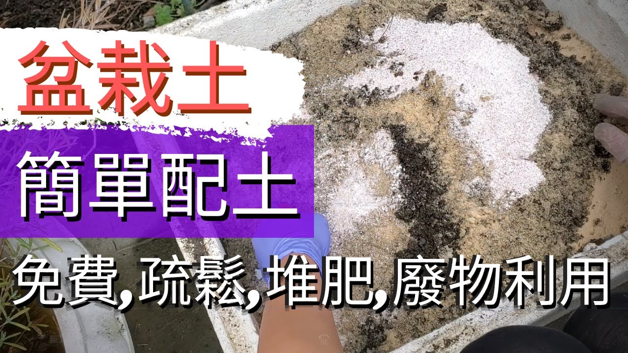 【自製免費盆栽土】簡單配土方法經驗分享和示範【舊土變新土+廢物利用+堆肥+廚餘+】自己配制省錢有效適合不同植物的有機盆土【疏鬆透氣+保水保肥+土壤不板結】 Container Garden