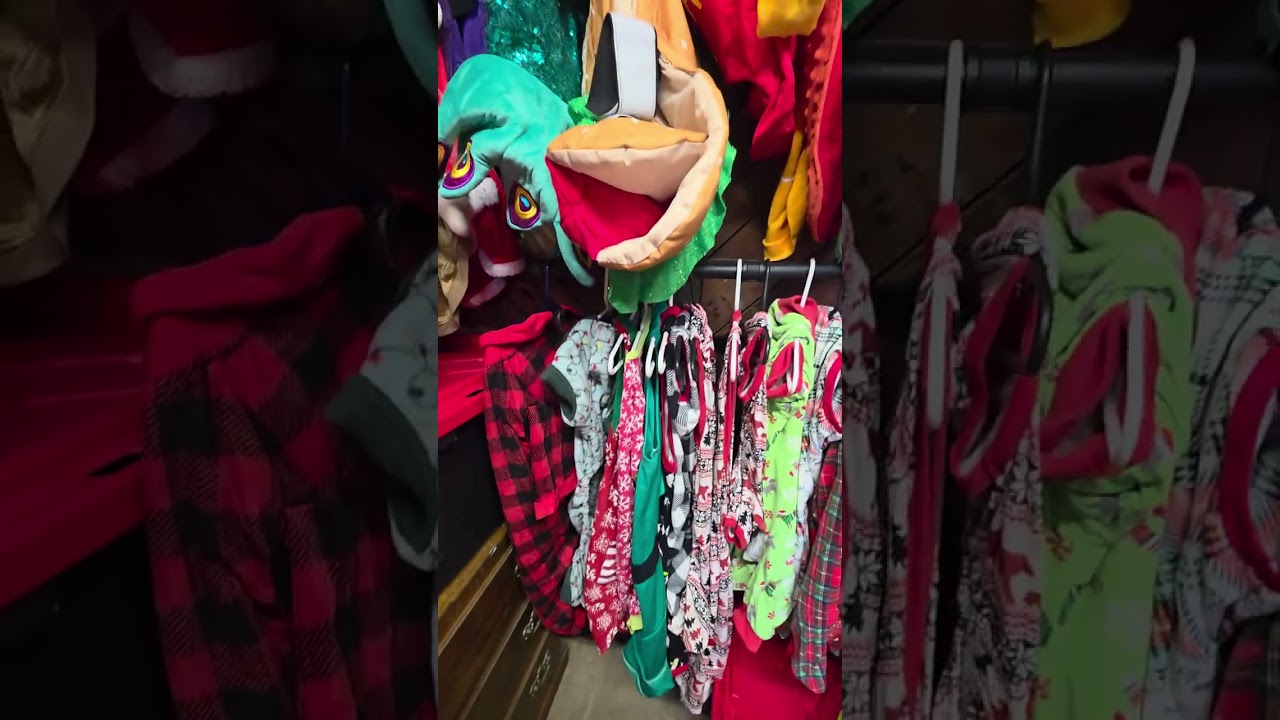 Dog Closet & Accessories