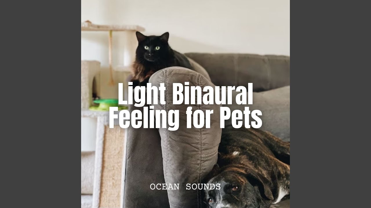 Light Pet Sound Bath