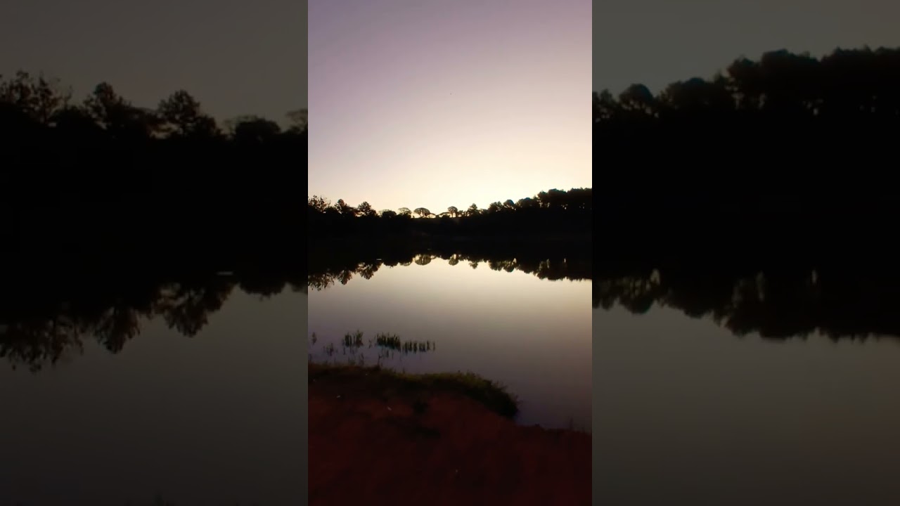 #lagoadourada