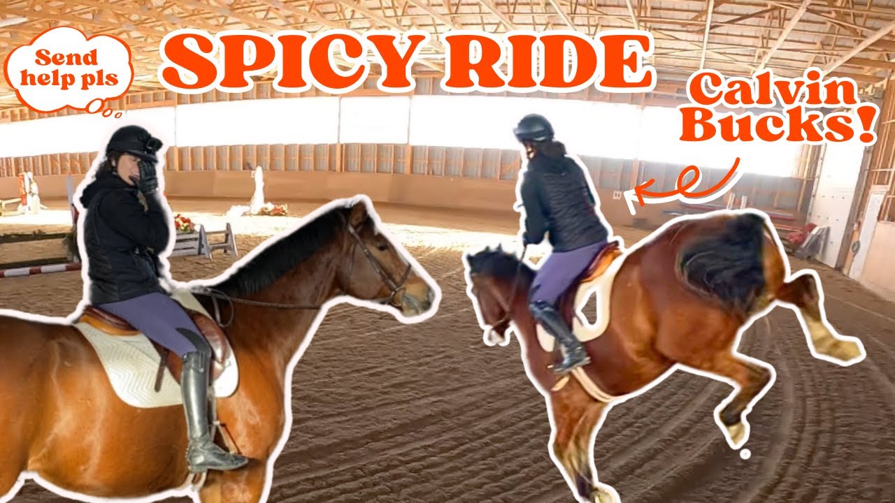 SPICY RIDE ON CALVIN | Bucking, Crow Hopping & More!