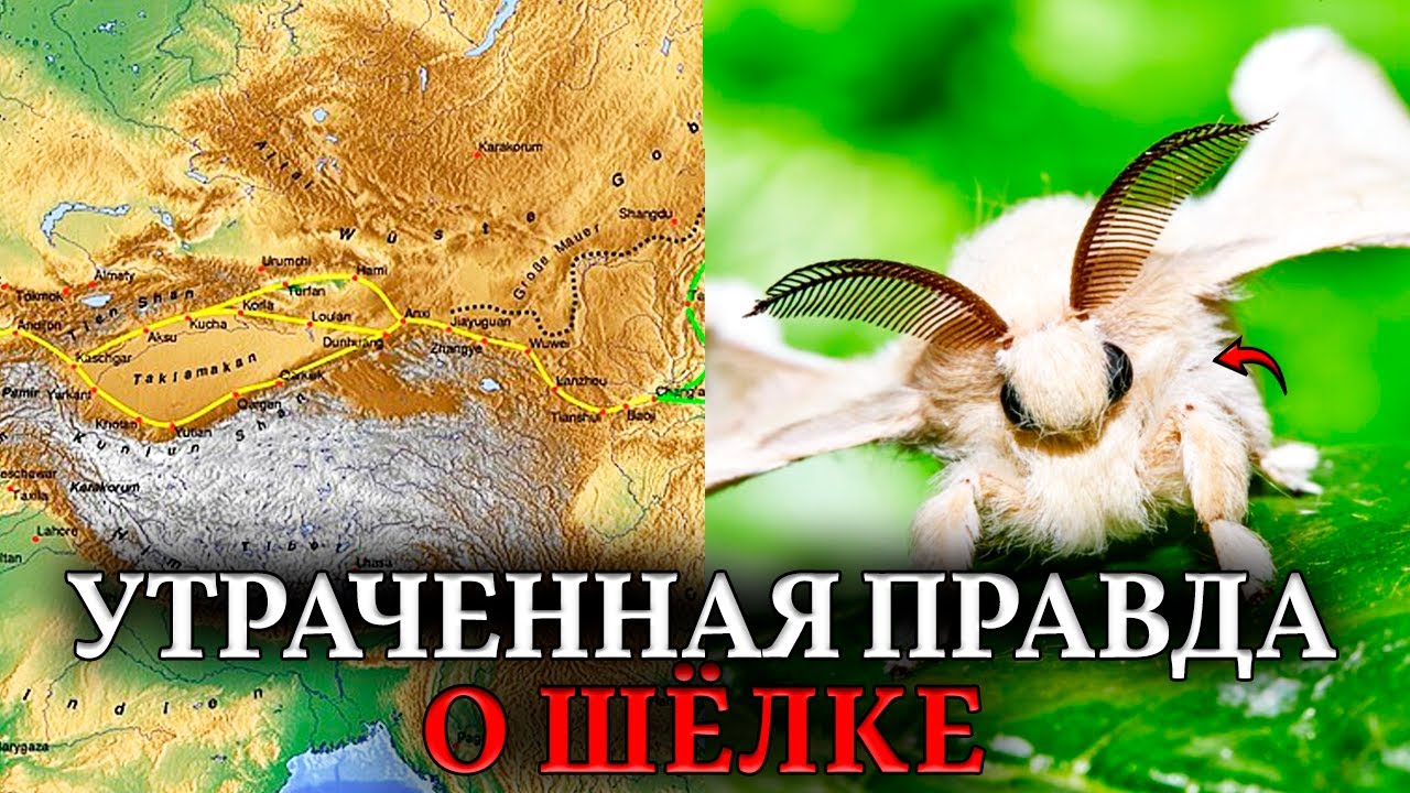 Шелковый ПУТЬ В НИКУДА. Как производили тонны шелка там, где не живут тутовые шелкопряды?