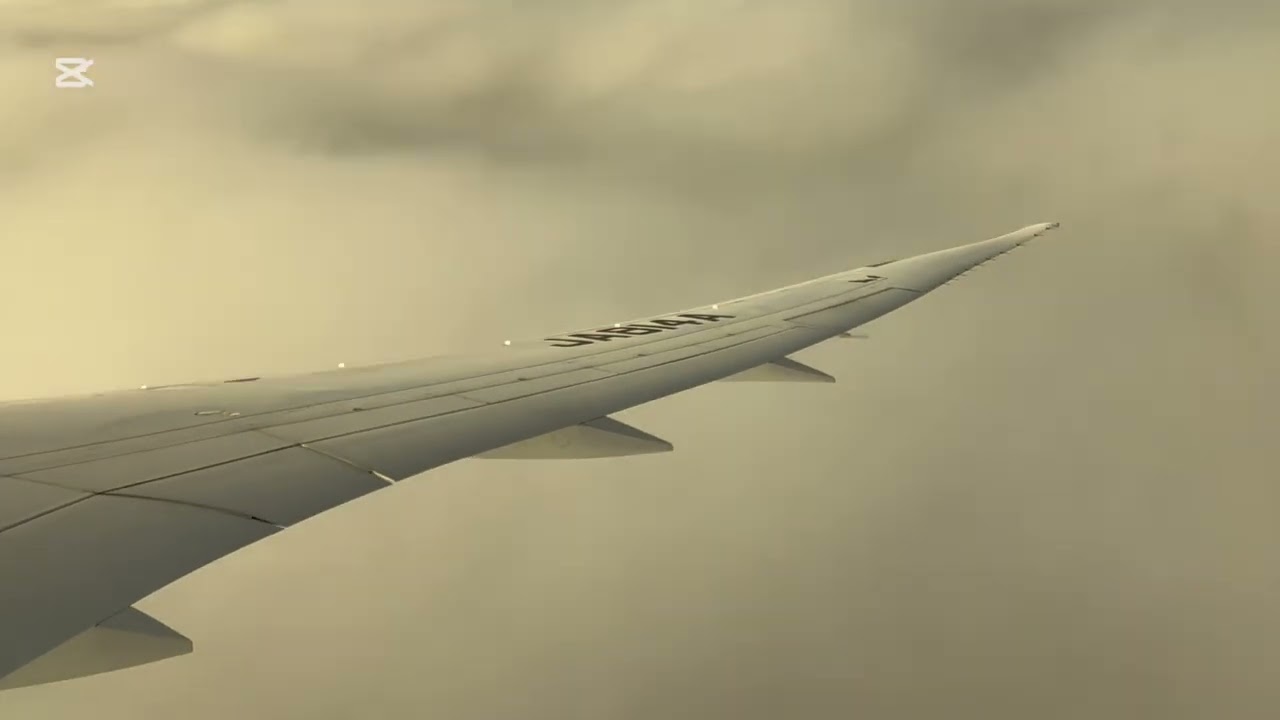 ANA Landing Washington DC IAD. US
