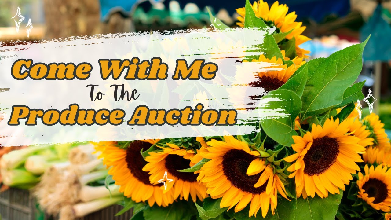 Secrets of Shopping at Produce Auctions Revealed: Save over 50% on Fresh Food!