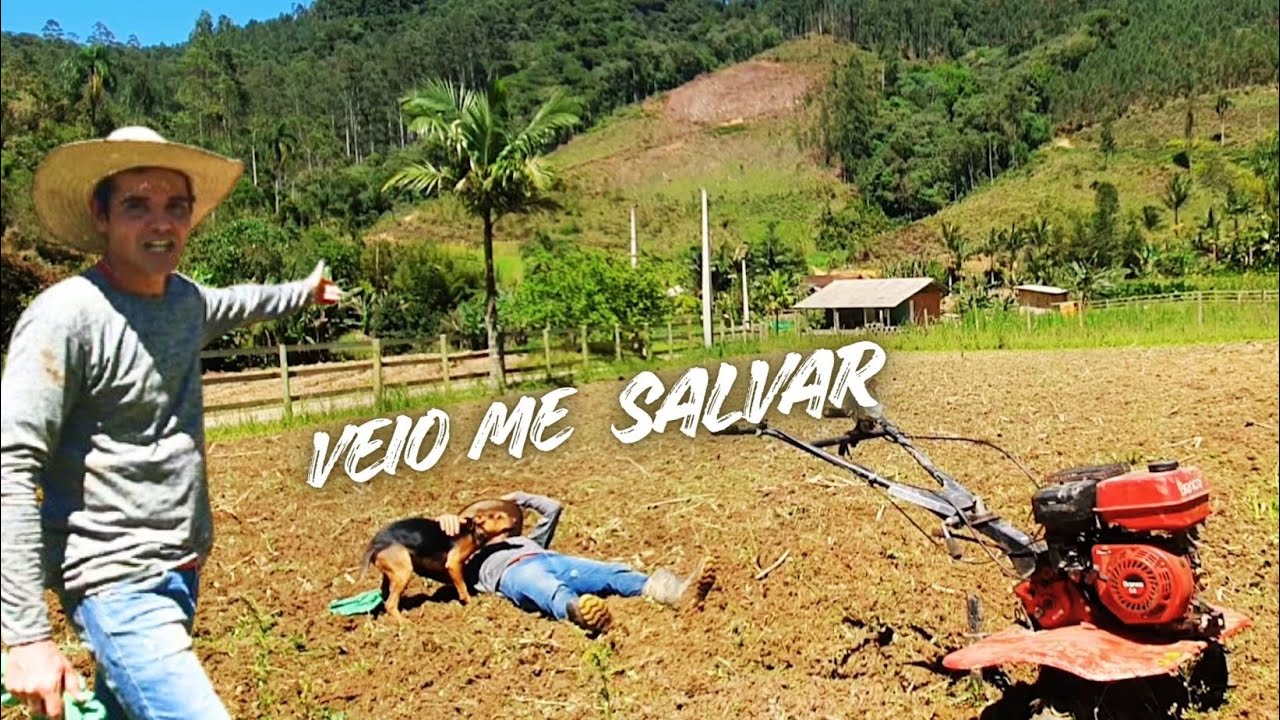 PLANTANDO A ROÇA DE FEIJÃO, MILHO E ABÓBORAS AQUI NO SÍTIO