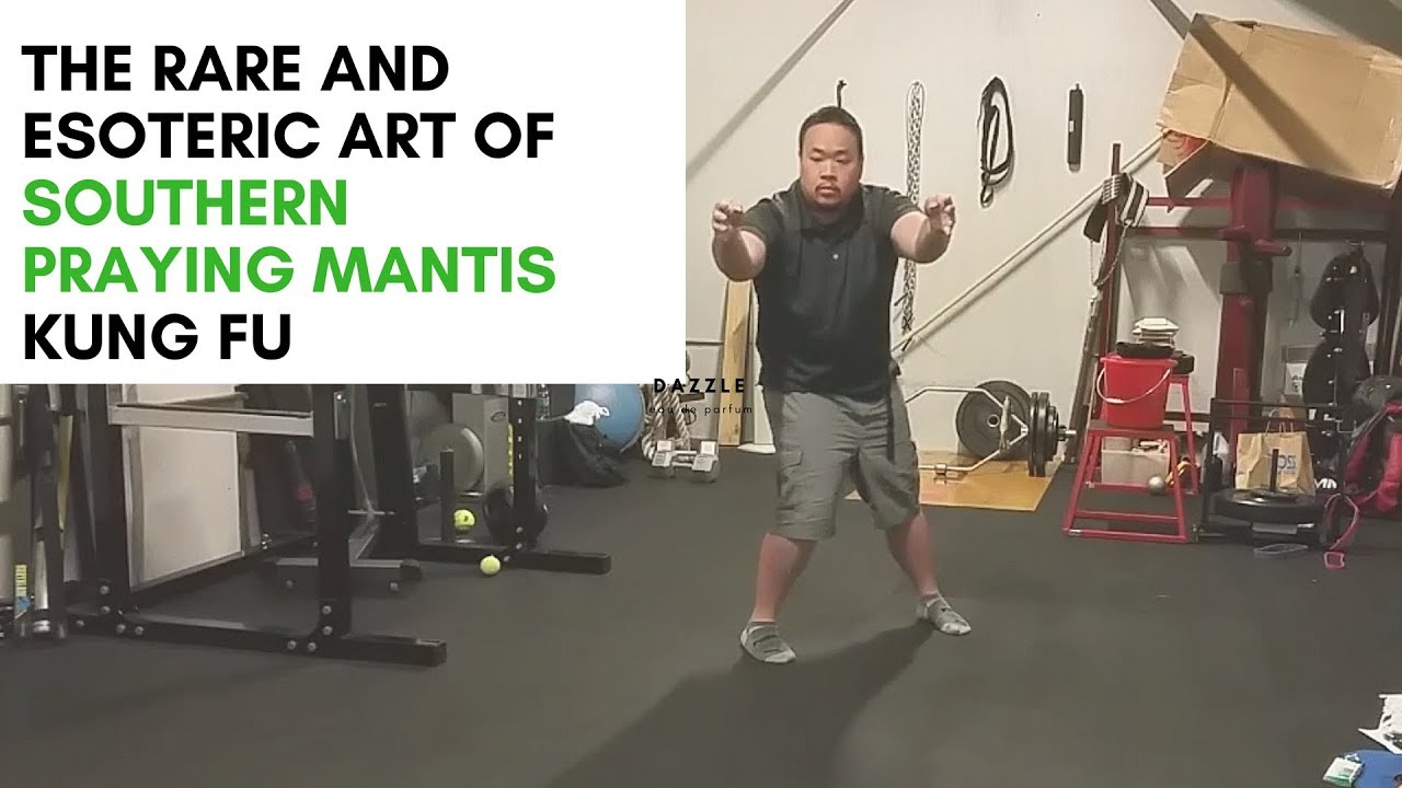 Southern Praying Mantis Kung Fu Journey 江西竹林南派螳螂