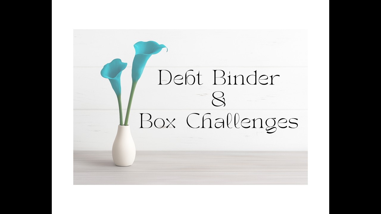 Debt Binder/Box Challenges 💚 (#130)