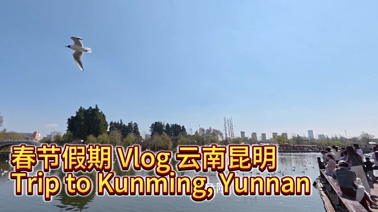旅行Vlog｜春节假期最后一站  云南昆明 The final stop of our holiday Kunming, Yunnan