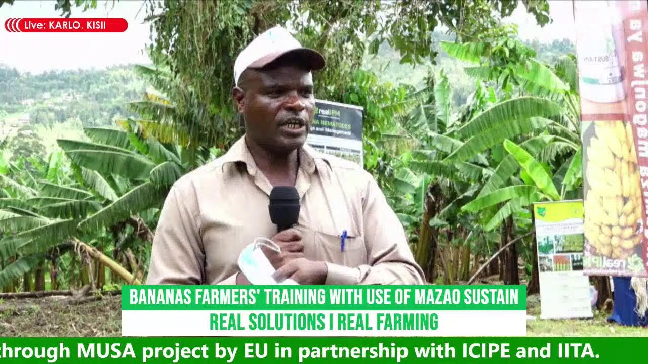FARMER'S TRAINING ON MAZAO SUSTAIN  AT KARLO, KISII