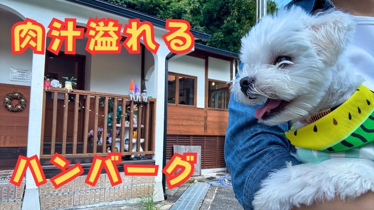 【ドッグカフェ】大自然の中にあるハンバーグが絶品のカフェ『GRILL&CAFE山ノ辺』【兵庫・能勢】