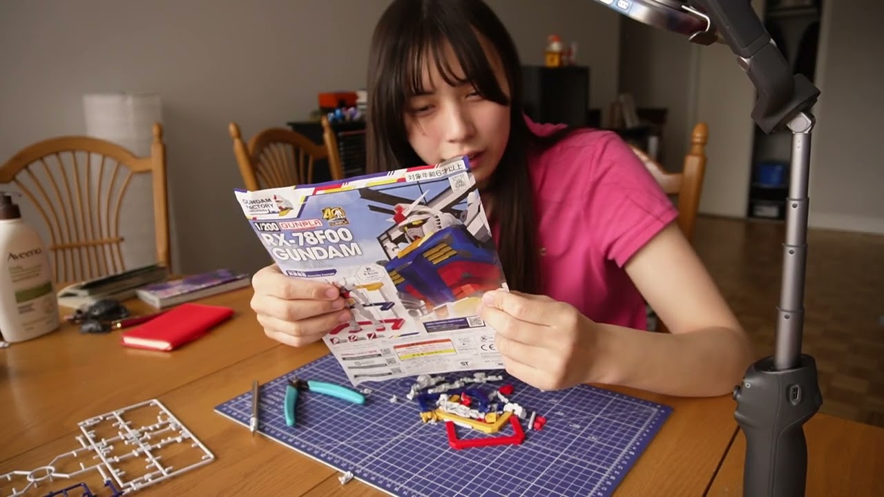 NEET makes a gundam to kill time