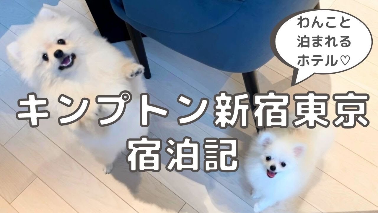 キンプトン新宿東京宿泊記｜わんこと泊まれるホテル
