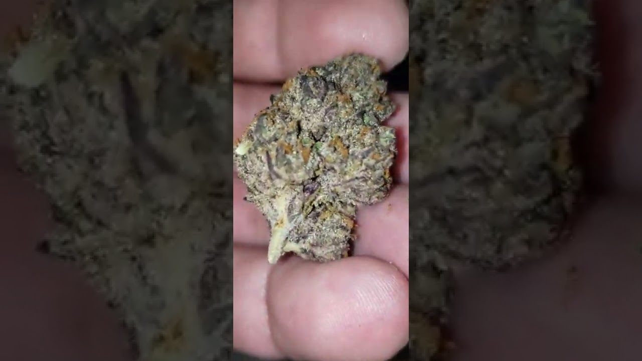Zkittlez Cake Strain