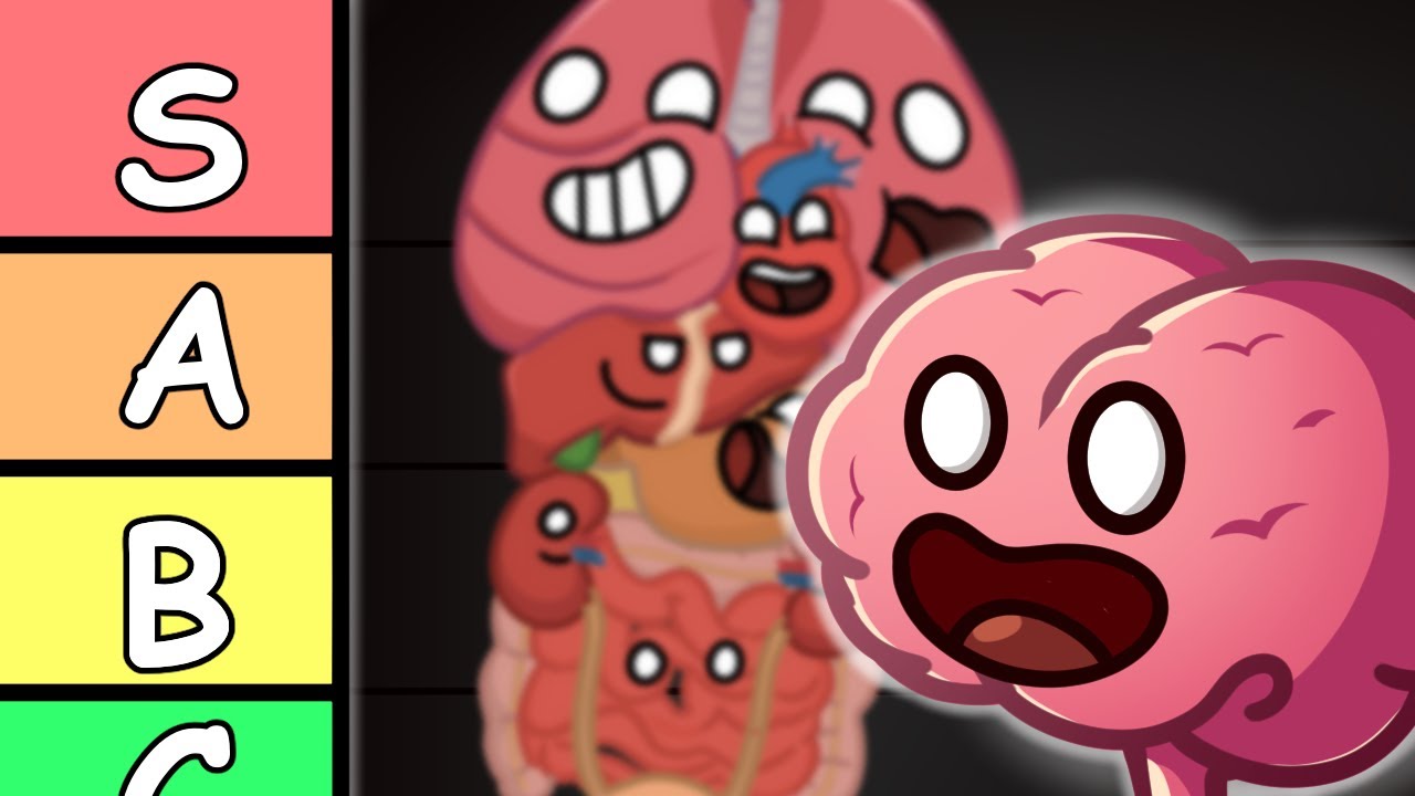 We rank all the Organs!