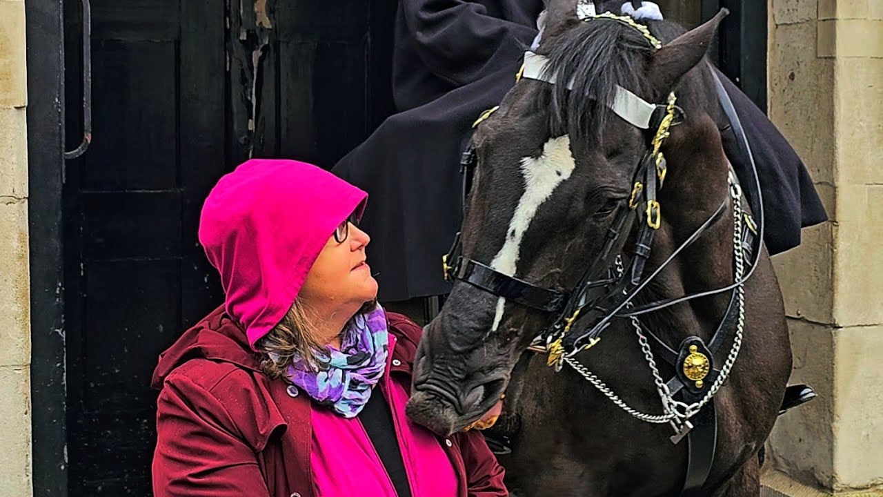 MERRY CHRISTMAS! An Hour with ORMONDE, the World's Most Famous Horse!