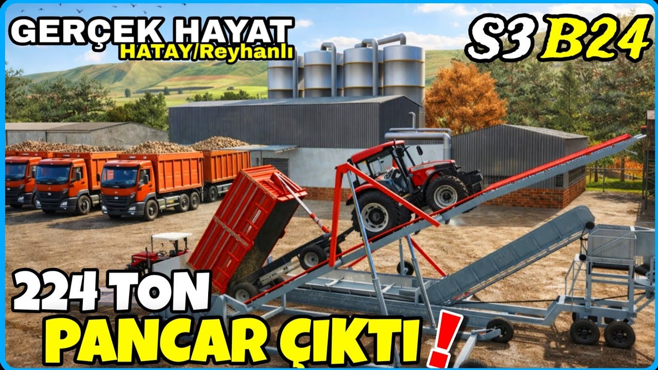 ŞEKER PANCARINDAN 224 TON MAHSÜL ALDIM🔸️BENİ KURTARIRSA PANCAR KURTARACAK🔸️FS25 GERÇEK HAYAT HATAY 