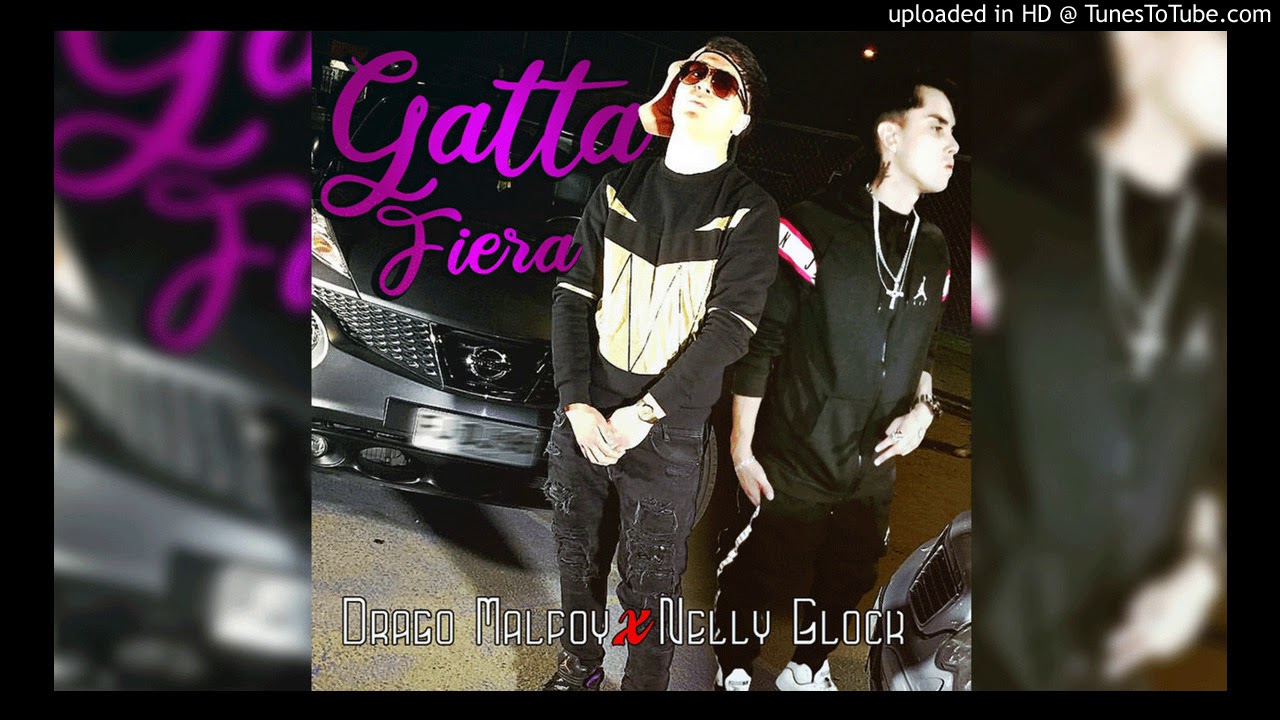 Gata fiera Drago - Malfoy ft Nelly Glock 🎶