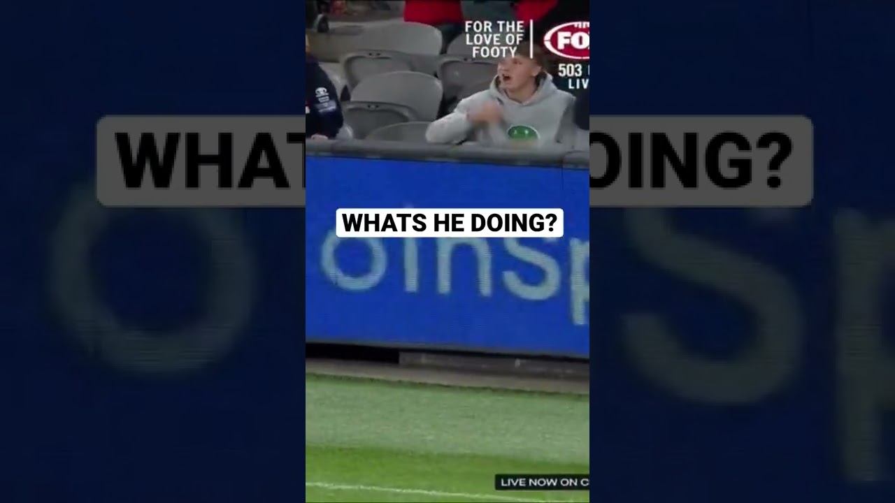 AFL Funny Sus Crowd Moment