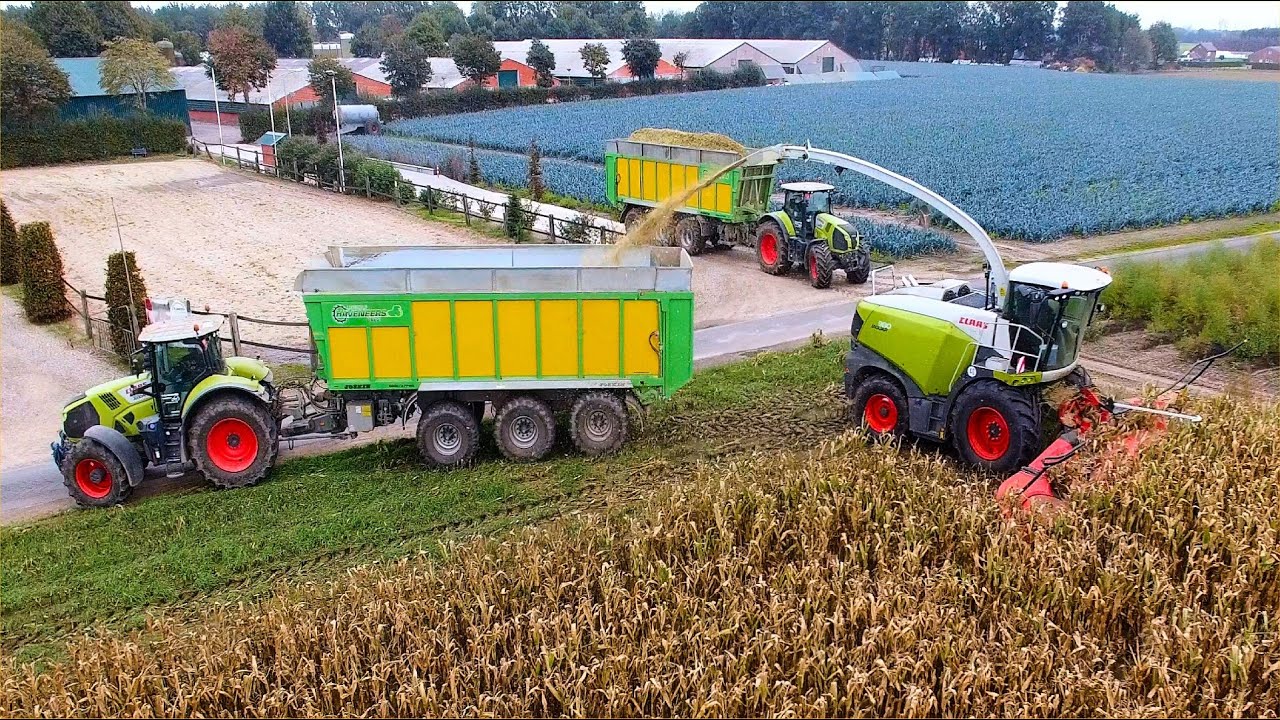 Mais 2020 : Brand NEW Claas Jaguar 980!! / Claas Axion / Haveneers / Joskin Drakkar / Maisernte / 4K