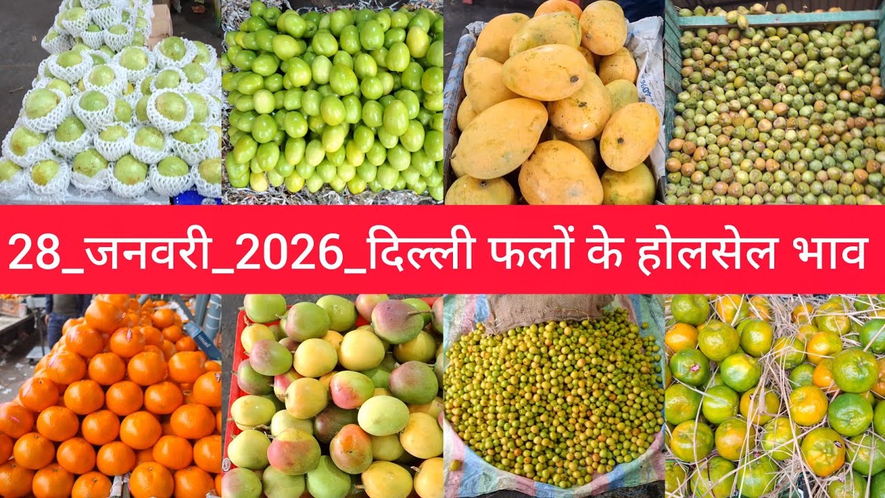 28 January 2026 दिल्ली फलों के भाव Delhi fruit market price APMC fruit market price #fruitmarket