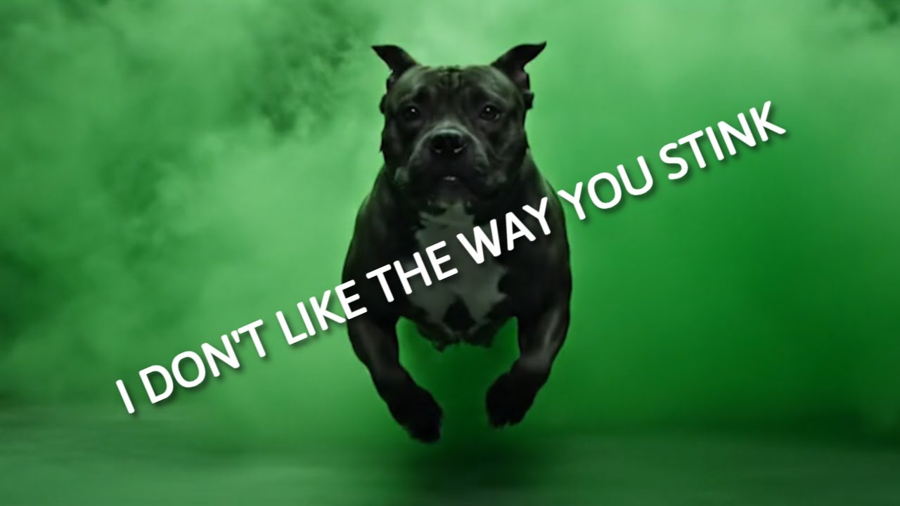 I Don't Like The Way You Stink (Original Song)