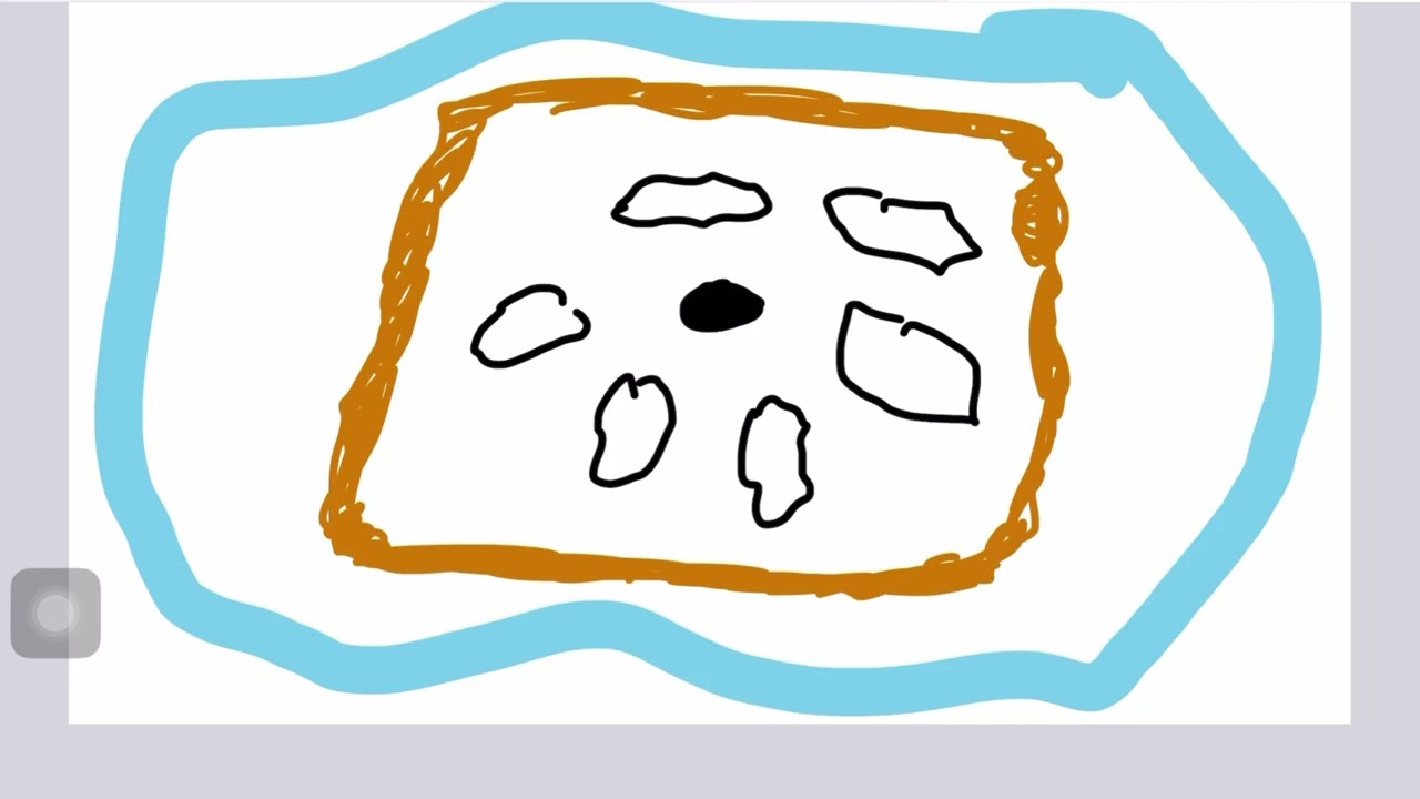 L1-Cell physiology