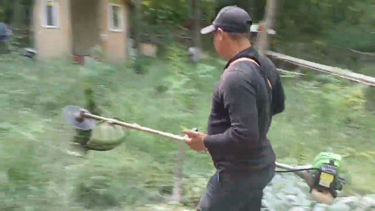 Dezastru la troita din pădure 