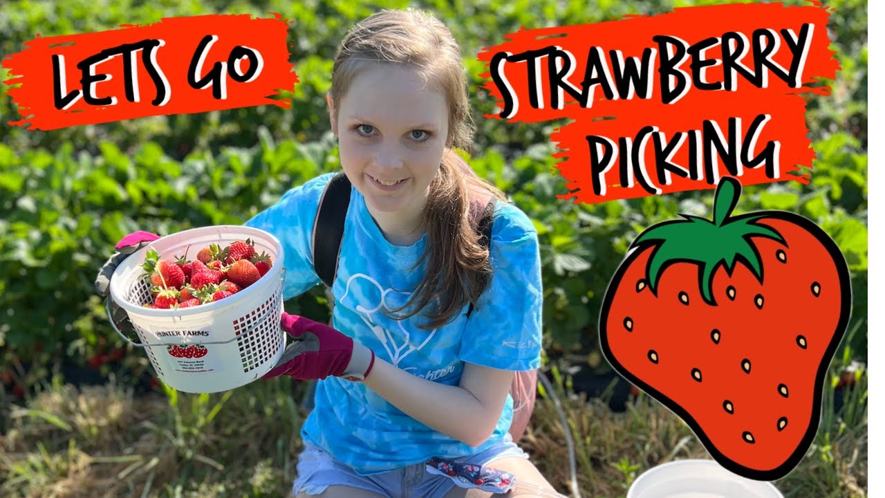 Let's Go Strawberry Picking