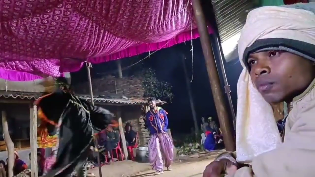 पेटा हांडी नाट || baster famous peta handi naat
