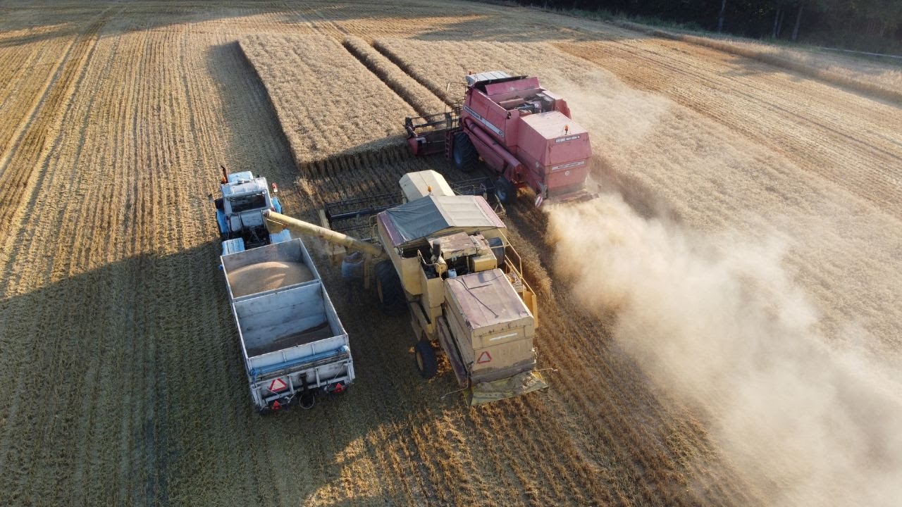 ŻNIWA 2022/ ŁAMAŃCE W TRANSPORCIE PSZENICY /T150 K/ MASSEY FERGUSON 40/ NEW HOLLAND TX36 /GR RUTECKI