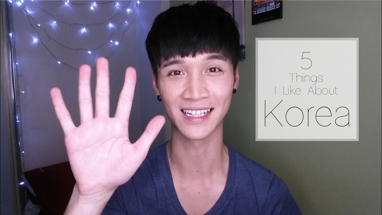 5 Things I Like About Korea! - mrpanda101