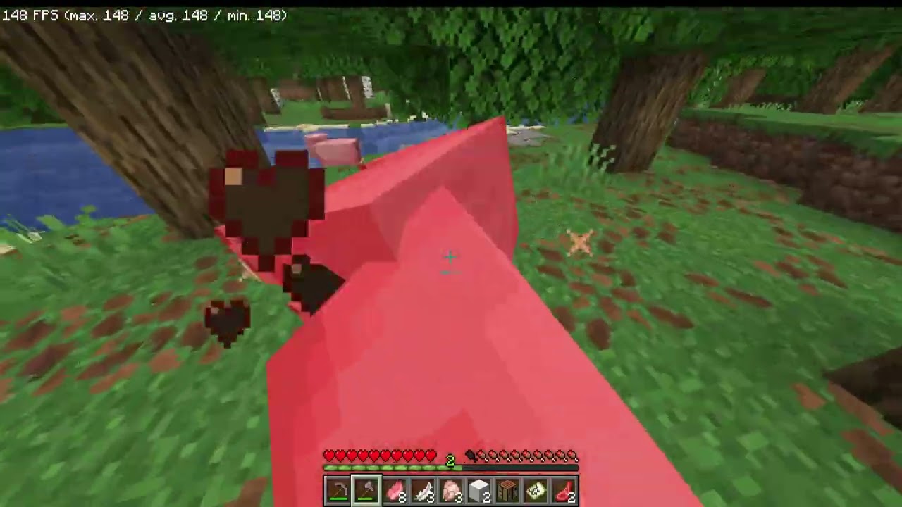 Minecraft Survival (1)